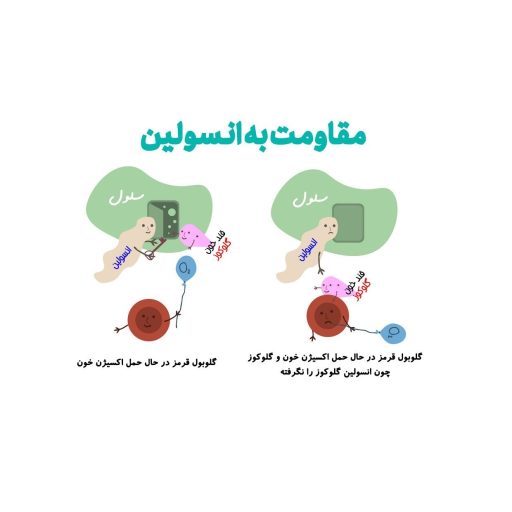 insulinresistance مقاومت به انسولین چیست؟ علتها، علائم و راههای درمان مؤثر
